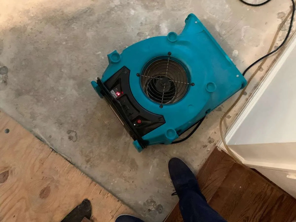 Air mover drying subfloor during Commercial Water Damage Restoration in Arbutus
